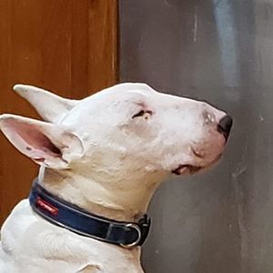 Meet your Posher, Zeda